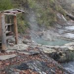 Wild Bath Japan