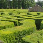 Longleat Hedge Maze