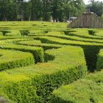 Longleat Hedge Maze