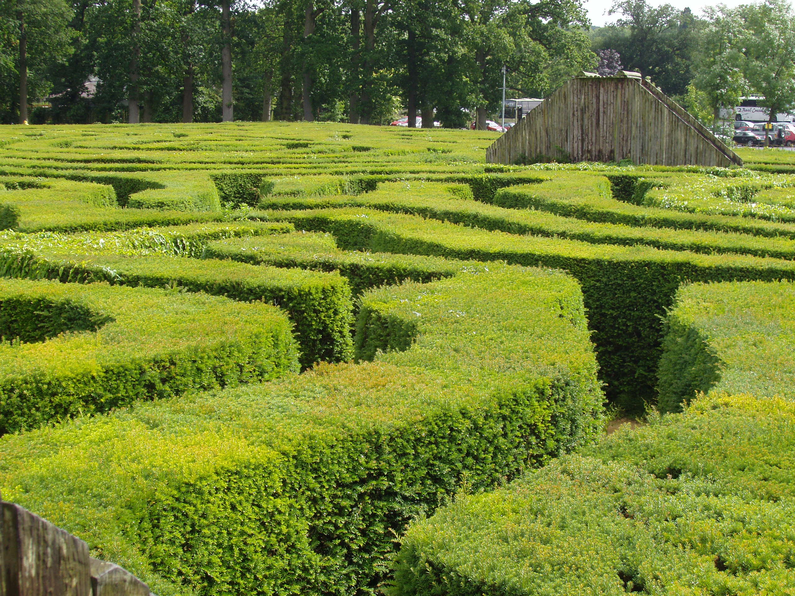 Longleat Hedge Maze