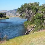 Yellowstone River through Paradise Valley