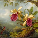 Orchids and Hummingbird