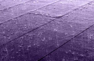 Purple_rain_on_roof.W.carter, CC0, via Wikimedia Commons