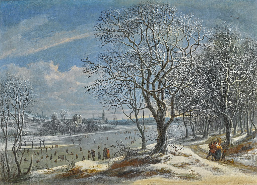 Snow Shine - Daniel van Heil