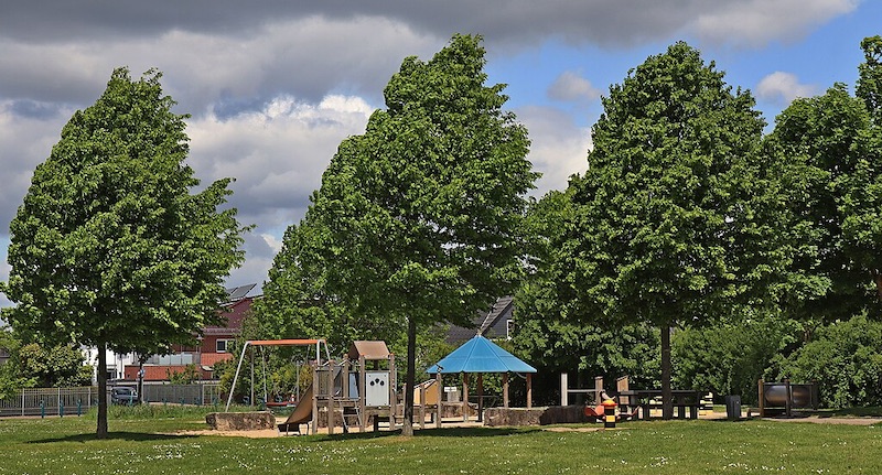 Photo by Hans-Joachim Engelhardt, CC BY-SA 4.0 , via Wikimedia Commons